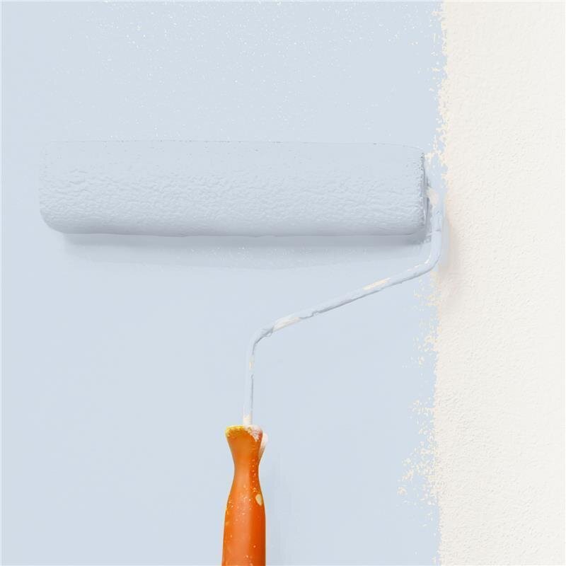 Wandfarbe NCS-S-1010-R80B Rosé Eleganz von Wallcover Colors