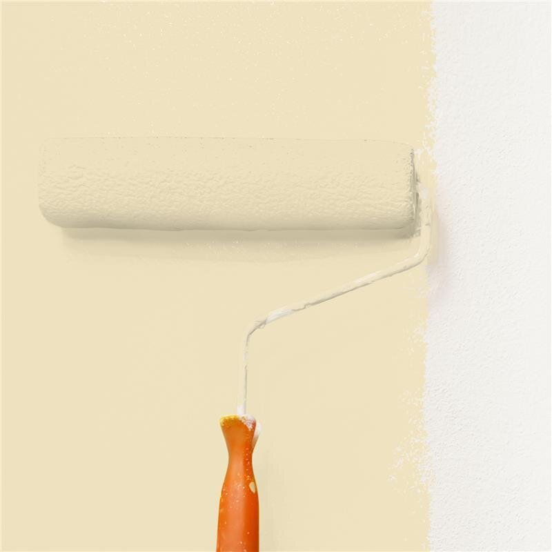 Wandfarbe NCS-S-1010-Y10R Pastell-Apricot von Wallcover Colors