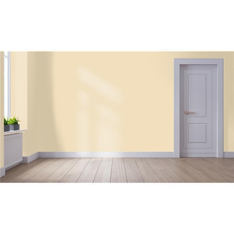 Wandfarbe NCS-S-1010-Y20R Aprikosenhauch von Wallcover Colors
