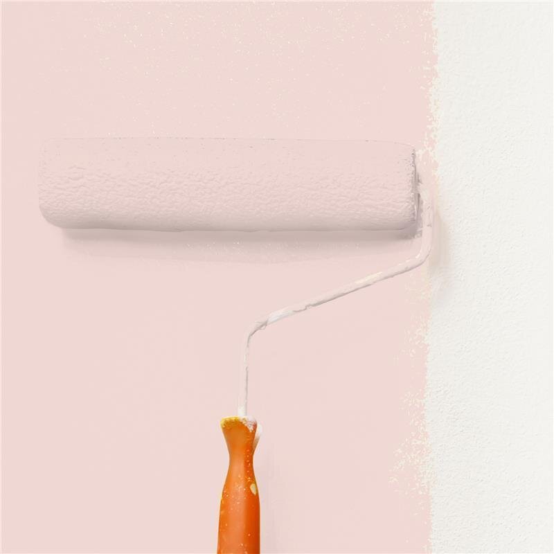 Wandfarbe NCS-S-1010-Y90R Frühlingsmorgen-Apricot von Wallcover Colors