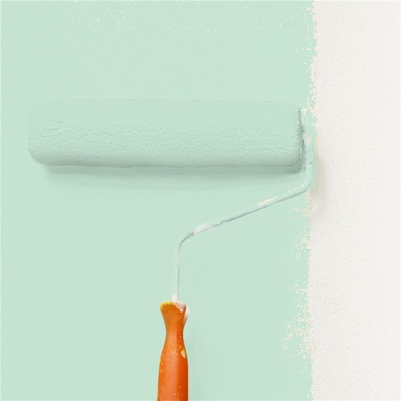 Wandfarbe NCS-S-1015-G Frühlingsgrün von Wallcover Colors