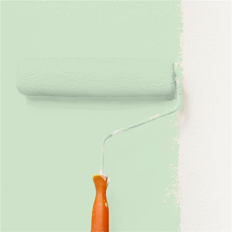 Wandfarbe NCS-S-1015-G20Y Sanftes Naturgrün von Wallcover Colors