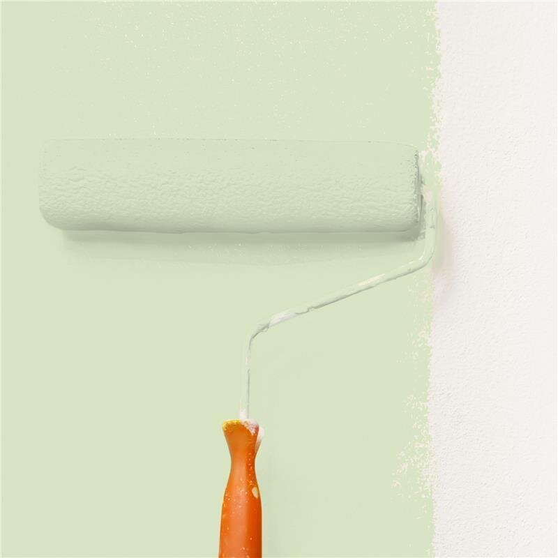 Wandfarbe NCS-S-1015-G40Y Frühlingsmorgen von Wallcover Colors