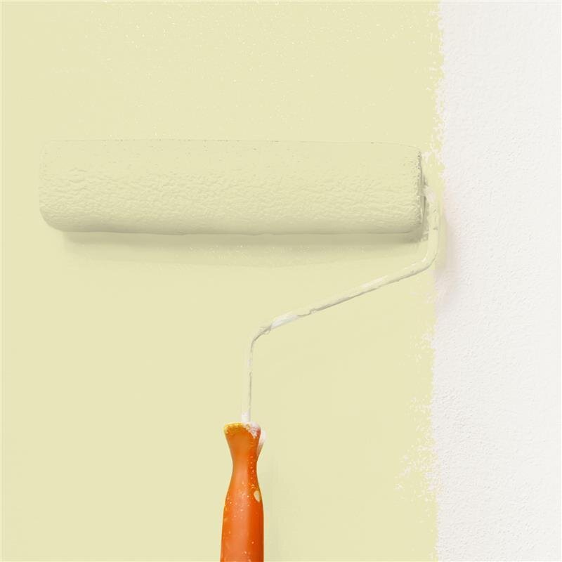 Wandfarbe NCS-S-1015-G80Y Frühlingsfrische von Wallcover Colors