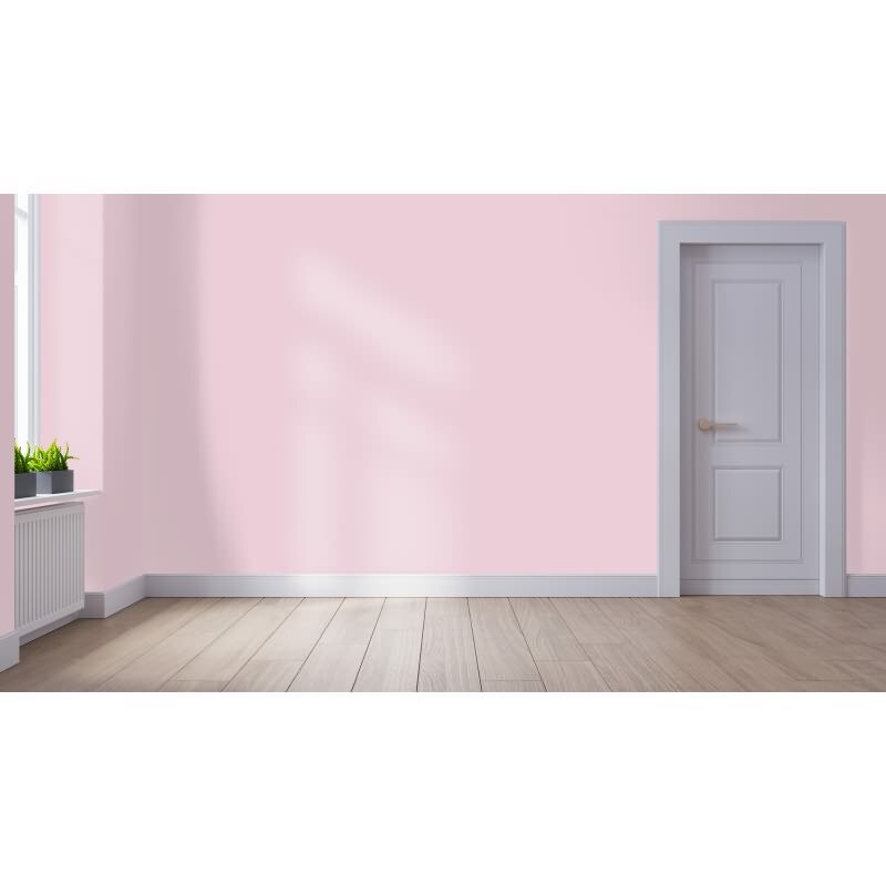 Wandfarbe NCS-S-1015-R20B Rosé-Eleganz von Wallcover Colors