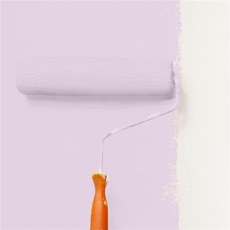 Wandfarbe NCS-S-1015-R40B Frühlingsrosé von Wallcover Colors