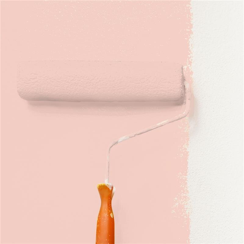 Wandfarbe NCS-S-1015-Y80R Frühlingsmorgen von Wallcover Colors