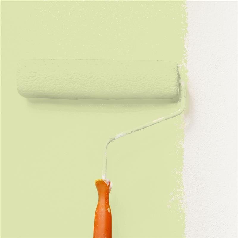 Wandfarbe NCS-S-1020-G60Y Frühlingsfrische von Wallcover Colors