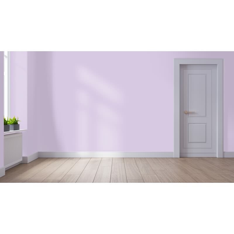 Wandfarbe NCS-S-1020-R50B Zartes Rosé von Wallcover Colors