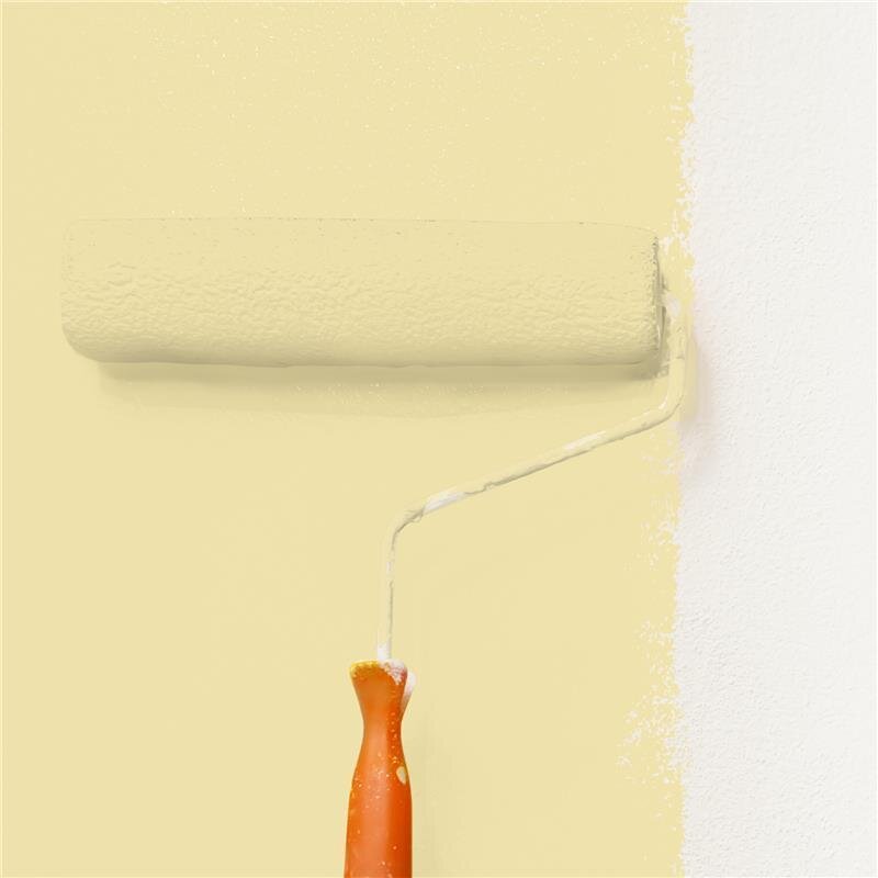 Wandfarbe NCS-S-1020-Y Sonnengelb von Wallcover Colors