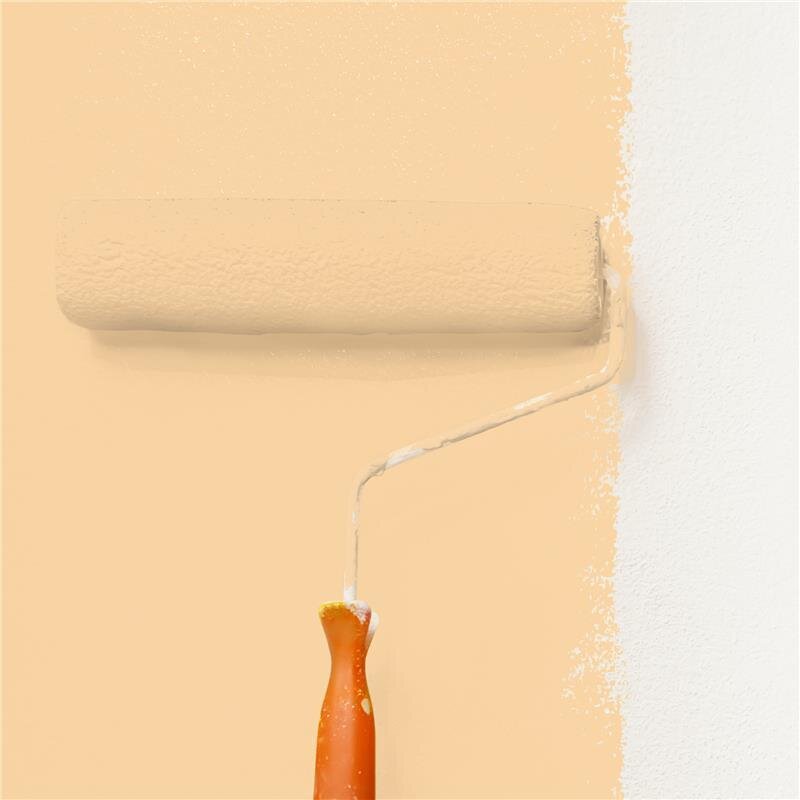 Wandfarbe NCS-S-1020-Y30R Sonnenaufgangszauber von Wallcover Colors