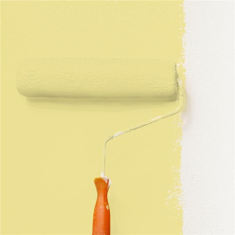 Wandfarbe NCS-S-1030-G90Y Frühlingsfrische von Wallcover Colors