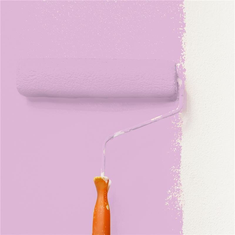 Wandfarbe NCS-S-1030-R40B Rosé Terracotta von Wallcover Colors