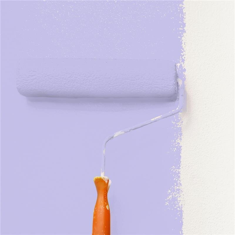 Wandfarbe NCS-S-1030-R60B Rosé Bordeaux von Wallcover Colors