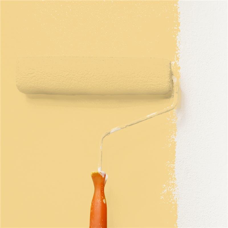 Wandfarbe NCS-S-1030-Y10R Honig-Apricot von Wallcover Colors