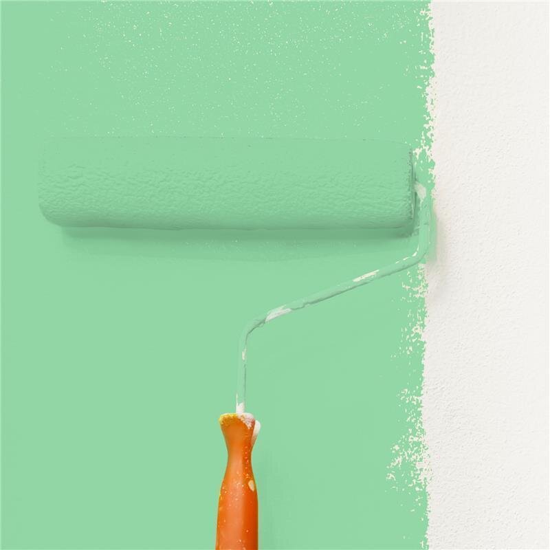 Wandfarbe NCS-S-1040-G10Y Frühlingsknospe von Wallcover Colors