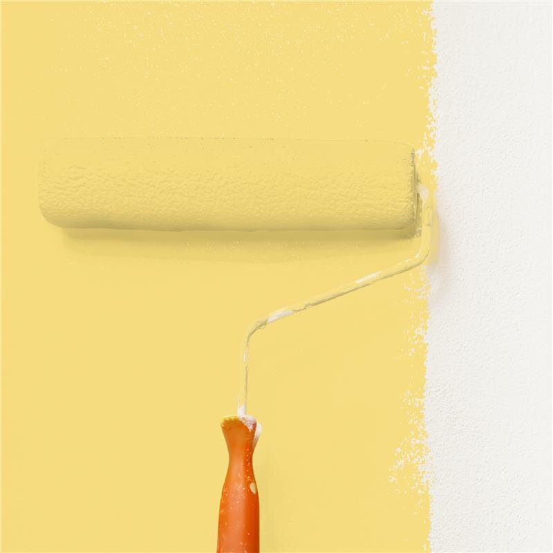 Wandfarbe NCS-S-1040-Y Herbstgold von Wallcover Colors