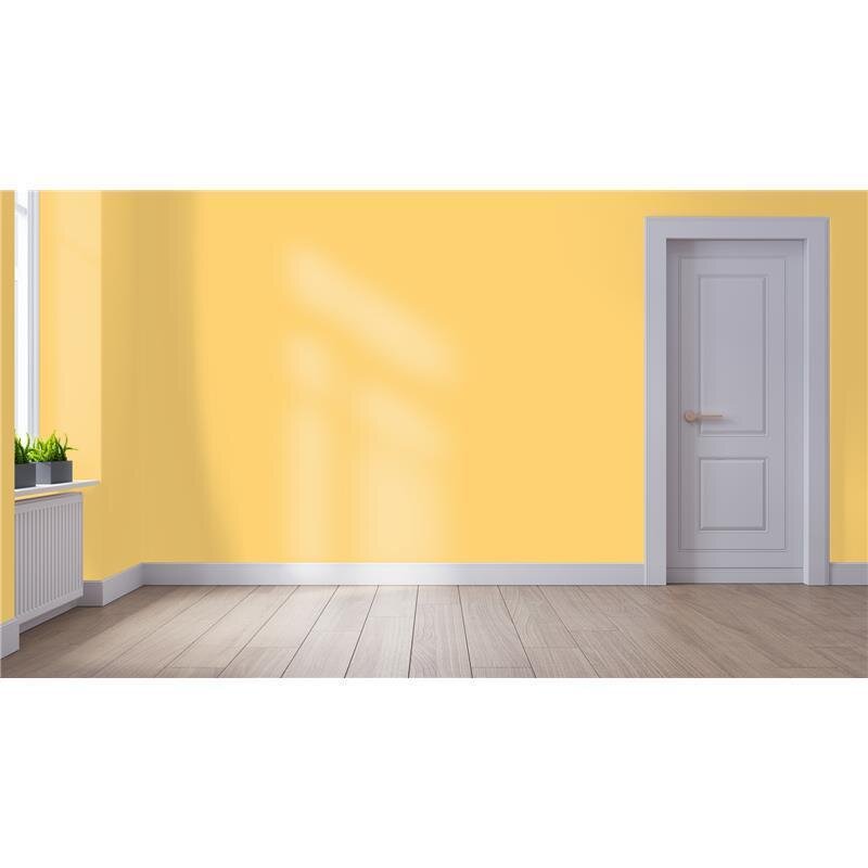 Wandfarbe NCS-S-1040-Y10R Goldener Sand von Wallcover Colors