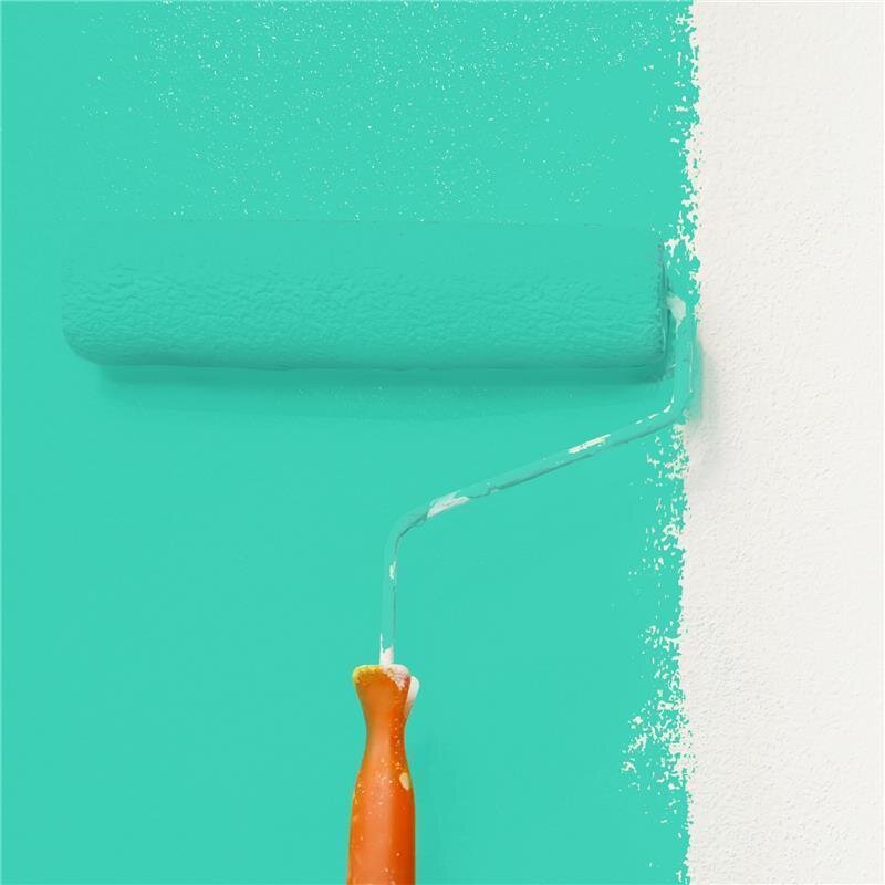 Wandfarbe NCS-S-1050-B80G Meeresstille von Wallcover Colors