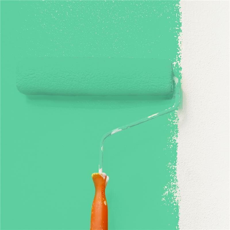 Wandfarbe NCS-S-1050-G Frühlingswald von Wallcover Colors