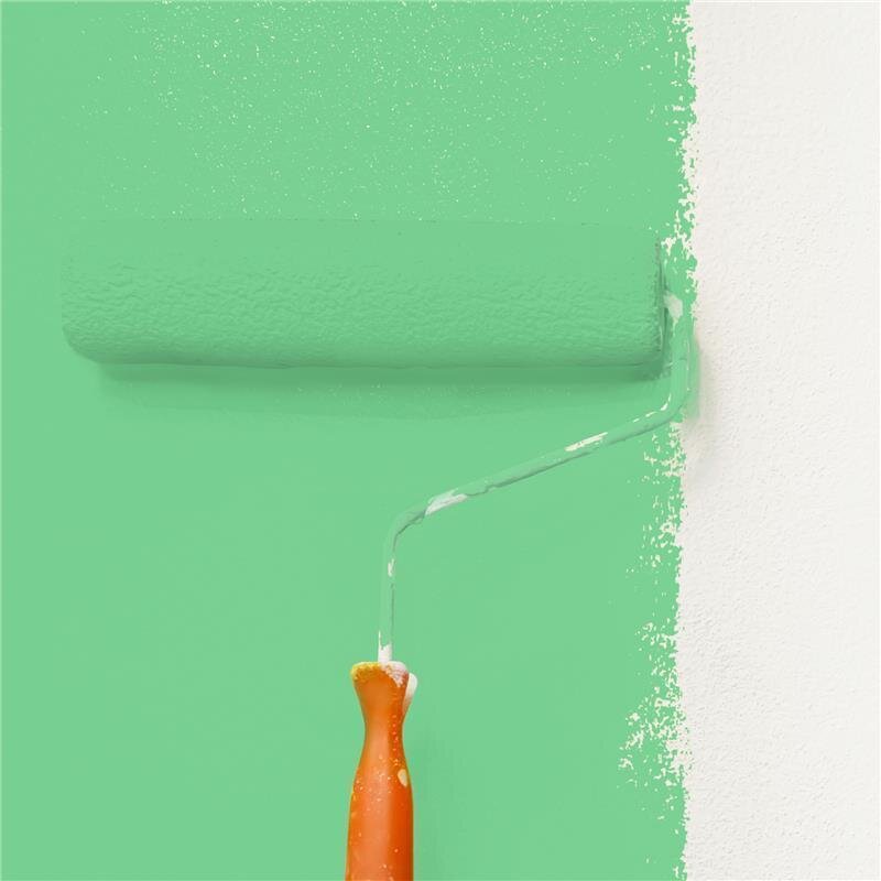 Wandfarbe NCS-S-1050-G10Y Frühlingsfrische von Wallcover Colors