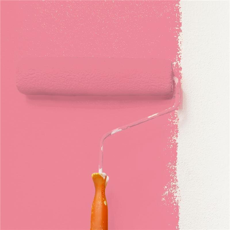 Wandfarbe NCS-S-1050-R10B Rubinrot von Wallcover Colors