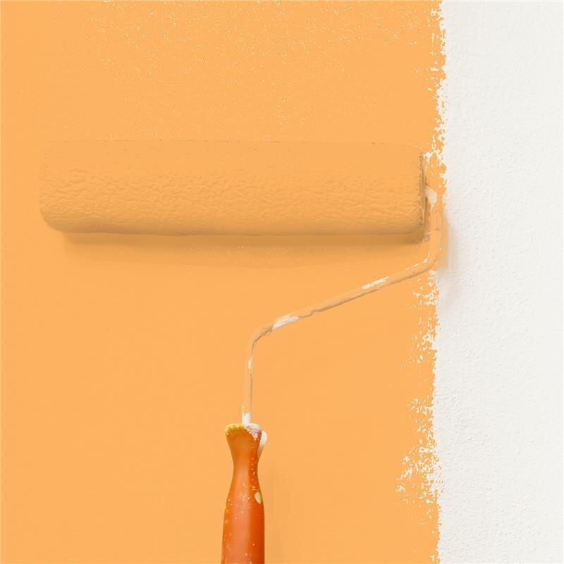 Wandfarbe NCS-S-1050-Y30R Goldenes Apricot von Wallcover Colors