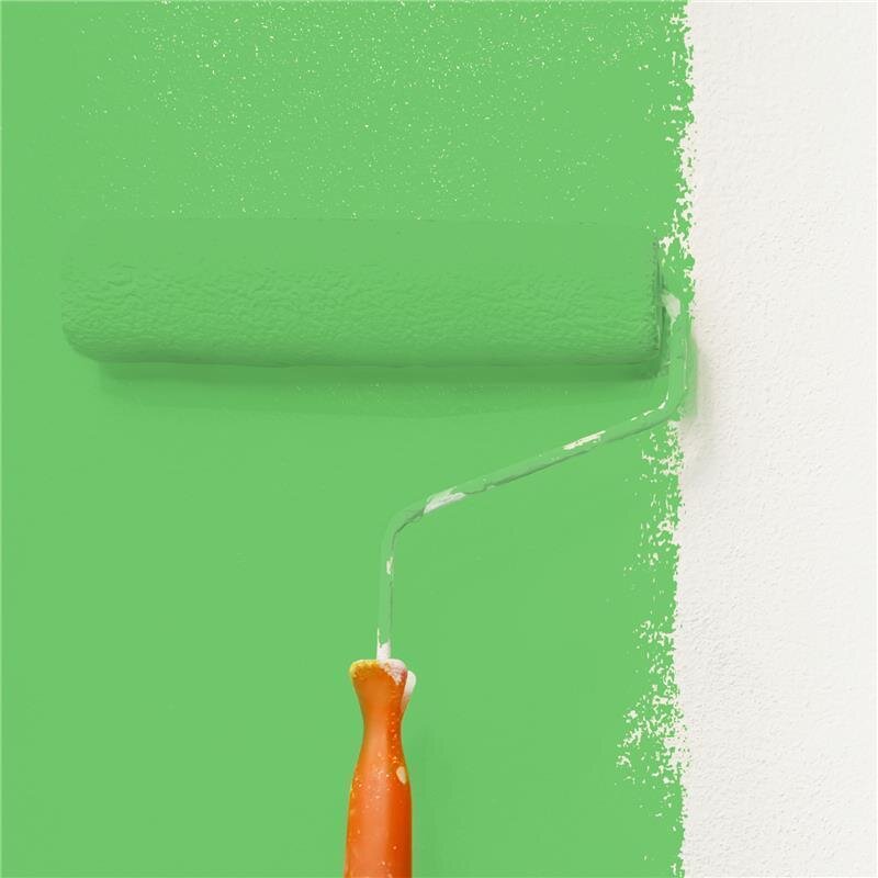 Wandfarbe NCS-S-1060-G20Y Lebendiges Frühlingsgrün von Wallcover Colors