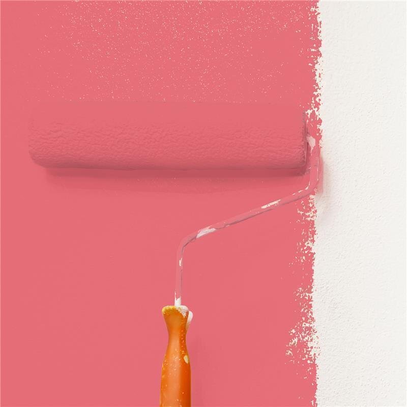 Wandfarbe NCS-S-1060-R Leidenschaftsrot von Wallcover Colors