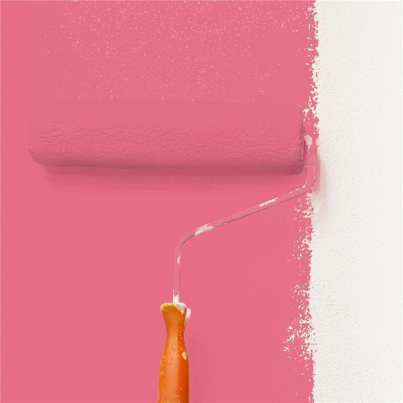 Wandfarbe NCS-S-1060-R10B Feuriges Korallenrot von Wallcover Colors