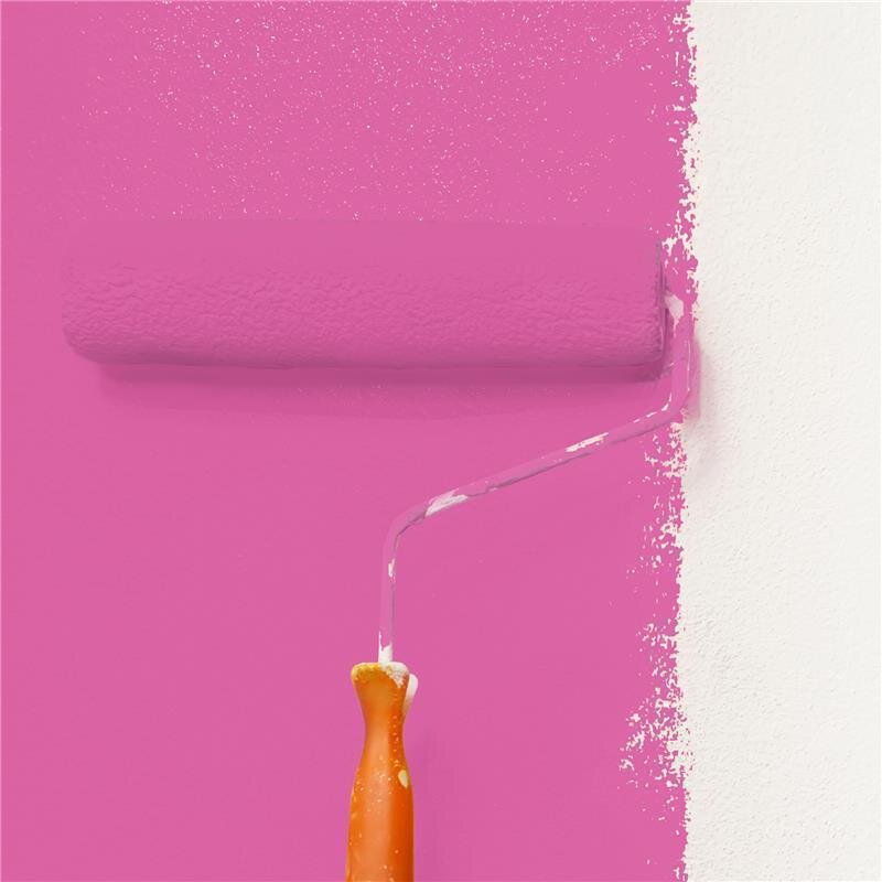 Wandfarbe NCS-S-1060-R30B Korallenrot von Wallcover Colors