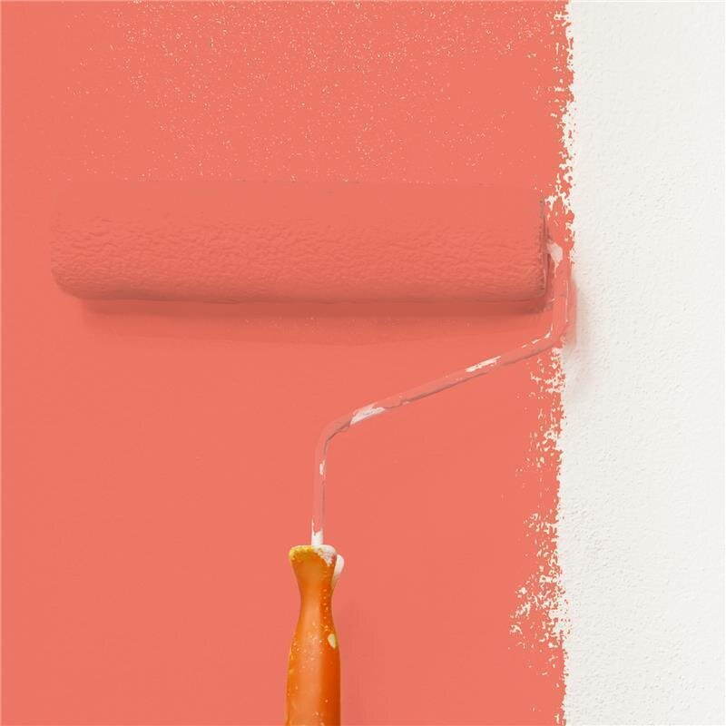 Wandfarbe NCS-S-1060-Y80R Korallenrot von Wallcover Colors