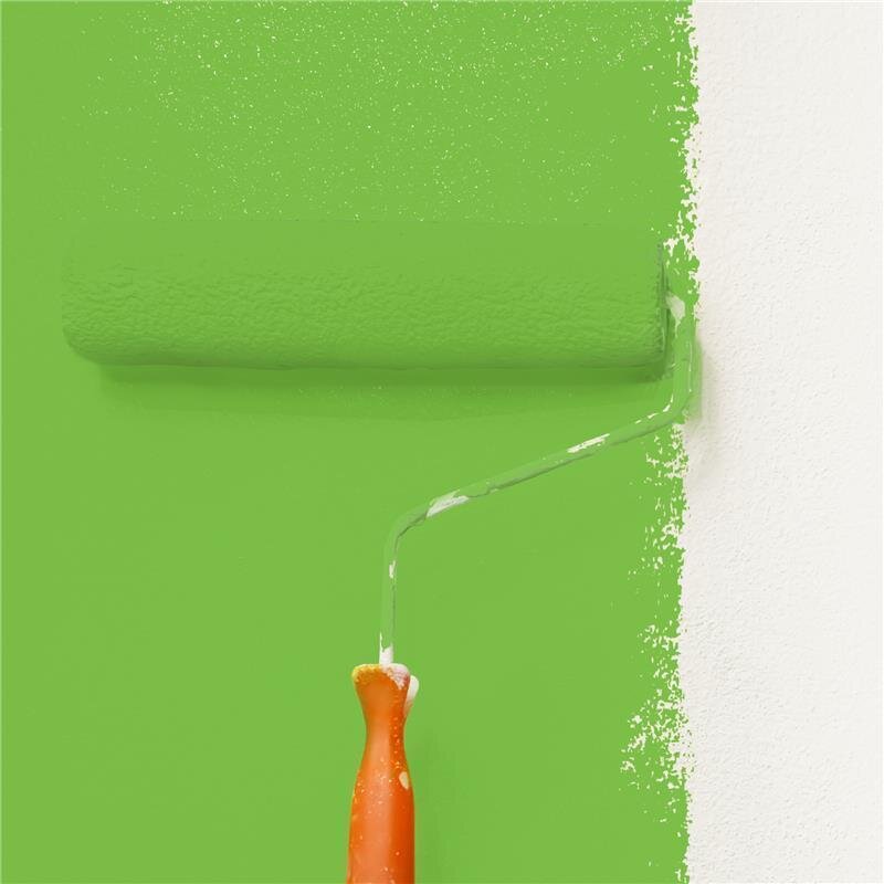 Wandfarbe NCS-S-1070-G30Y Frühlingsgrün von Wallcover Colors