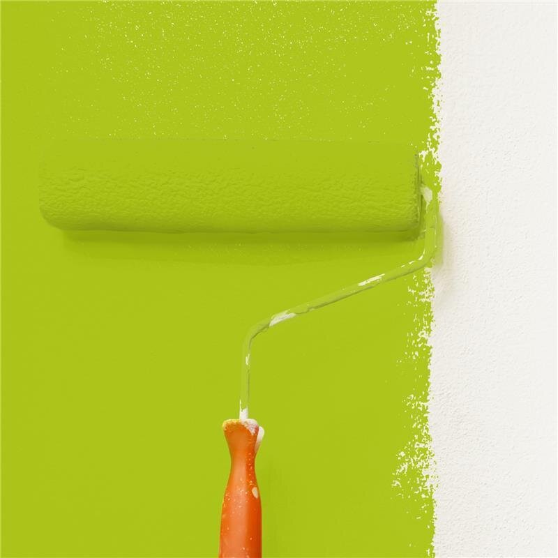 Wandfarbe NCS-S-1070-G50Y Frühlingsfrische von Wallcover Colors
