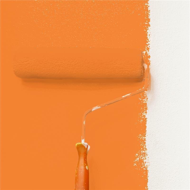 Wandfarbe NCS-S-1070-Y50R Goldener Sonnenuntergang von Wallcover Colors