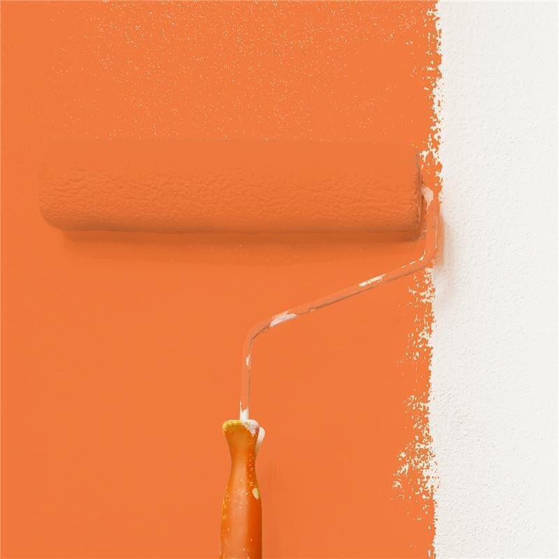 Wandfarbe NCS-S-1070-Y60R Goldener Sonnenuntergang von Wallcover Colors