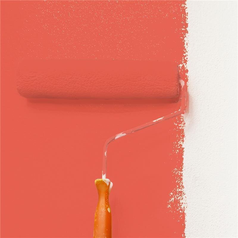 Wandfarbe NCS-S-1070-Y80R Korallenrot von Wallcover Colors