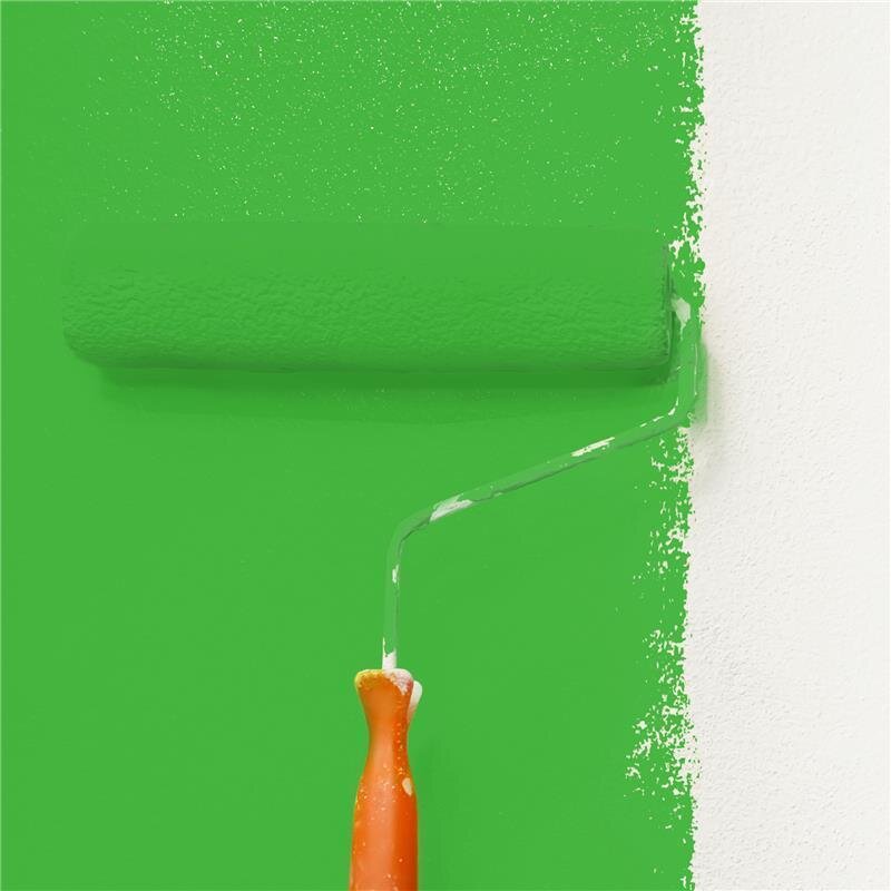 Wandfarbe NCS-S-1075-G20Y Frühlingsenergie von Wallcover Colors