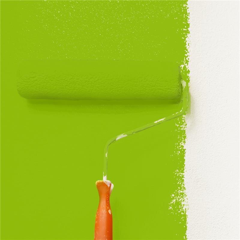 Wandfarbe NCS-S-1075-G40Y Frühlingswald von Wallcover Colors