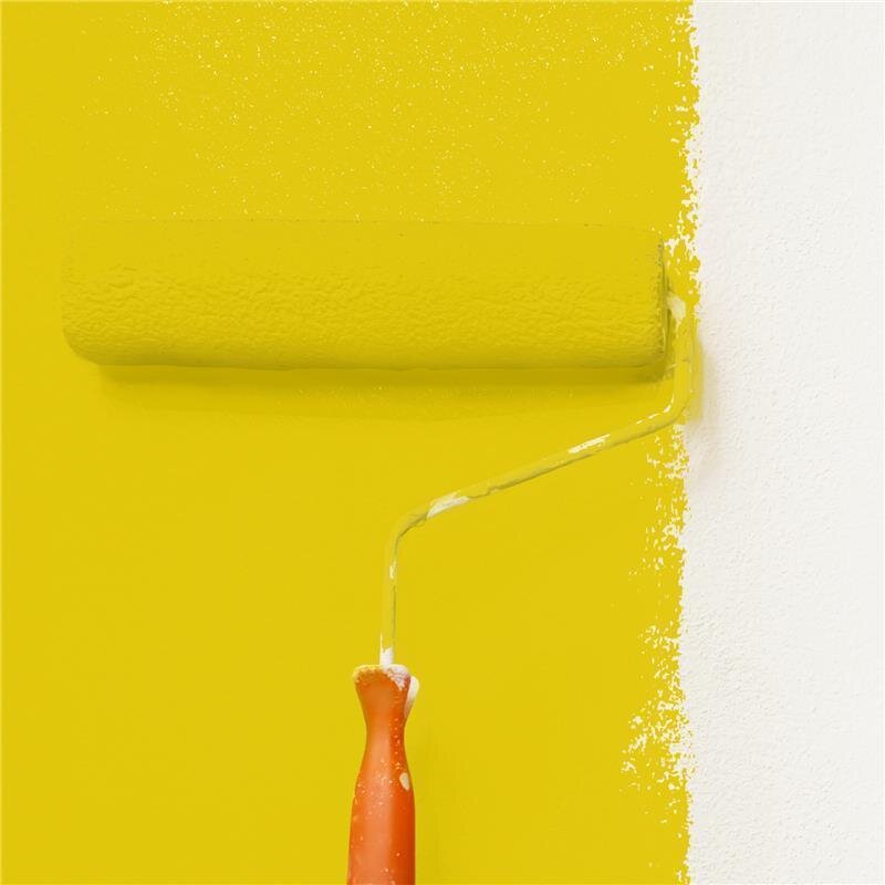 Wandfarbe NCS-S-1075-G90Y Frühlingsfrische von Wallcover Colors