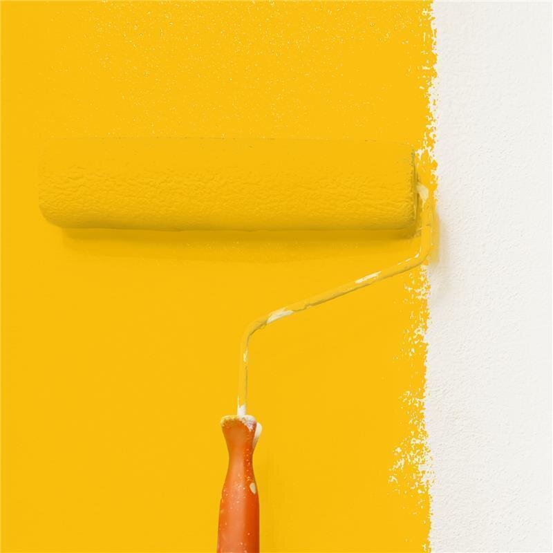 Wandfarbe NCS-S-1080-Y10R Goldener Lebensfunke von Wallcover Colors