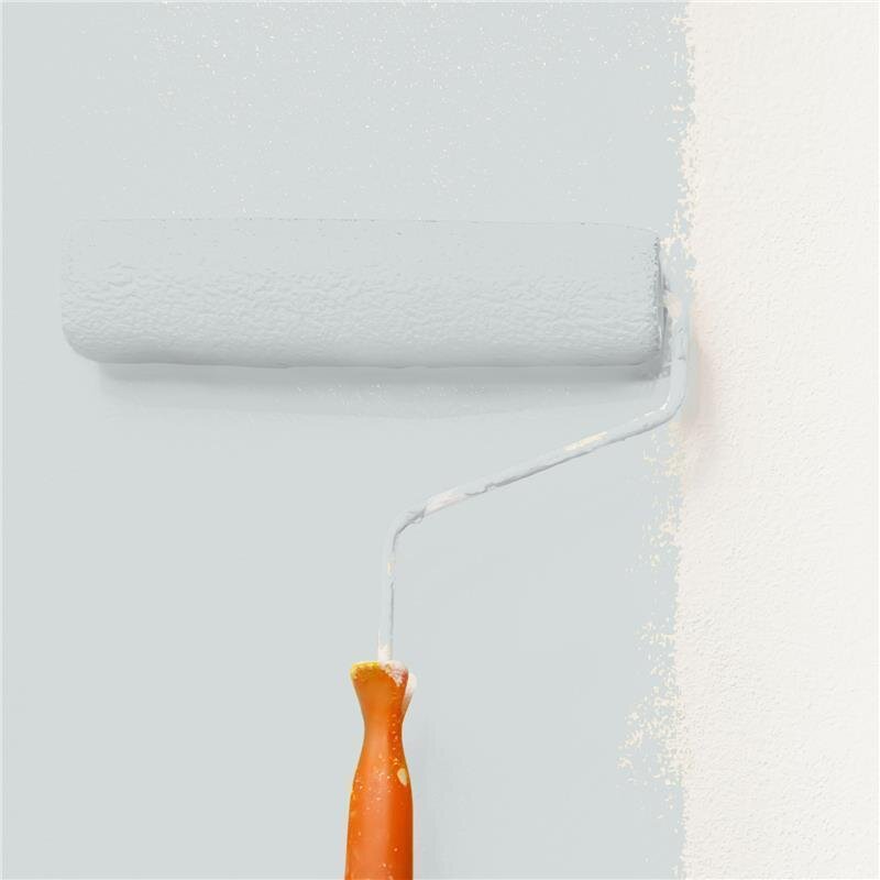 Wandfarbe NCS-S-1502-B50G Sanfte Eleganz von Wallcover Colors