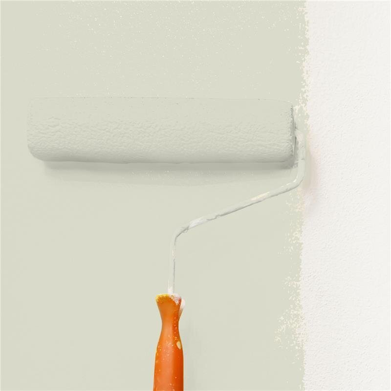 Wandfarbe NCS-S-1505-G80Y Frühlingsfrische von Wallcover Colors