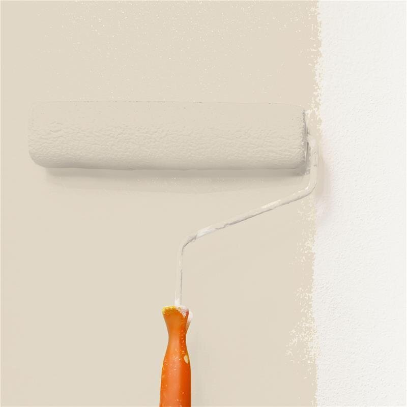 Wandfarbe NCS-S-1505-Y30R Sonnenuntergangszauber von Wallcover Colors