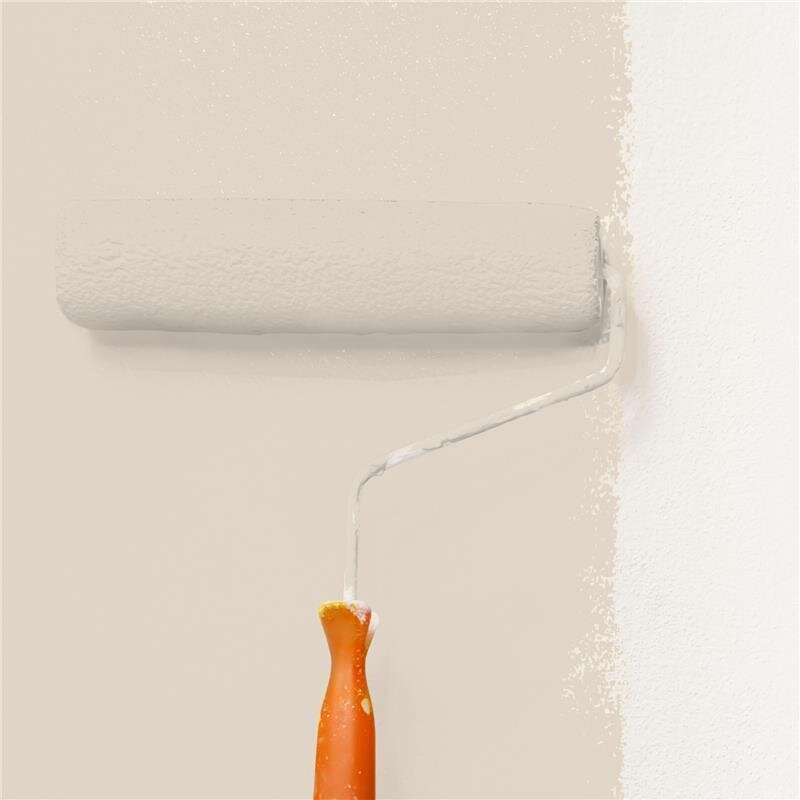 Wandfarbe NCS-S-1505-Y50R Sanftes Rosé-Beige von Wallcover Colors