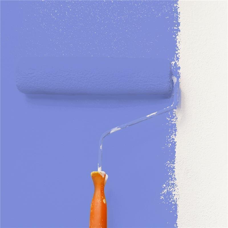 Wandfarbe NCS-S-1555-R70B Rosenrot von Wallcover Colors