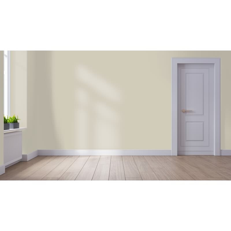 Wandfarbe NCS-S-2005-Y20R Goldener Sonnenuntergang von Wallcover Colors