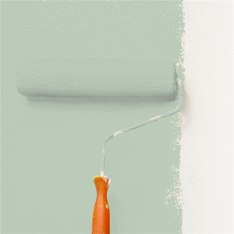 Wandfarbe NCS-S-2010-G20Y Frühlingsfrische von Wallcover Colors