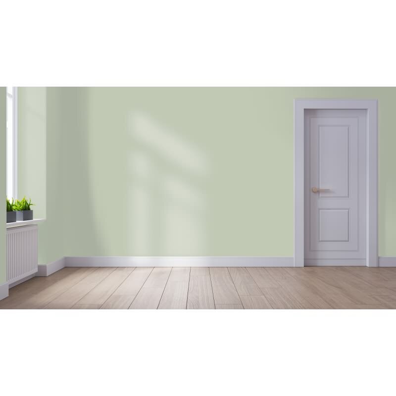 Wandfarbe NCS-S-2010-G40Y Waldlicht von Wallcover Colors