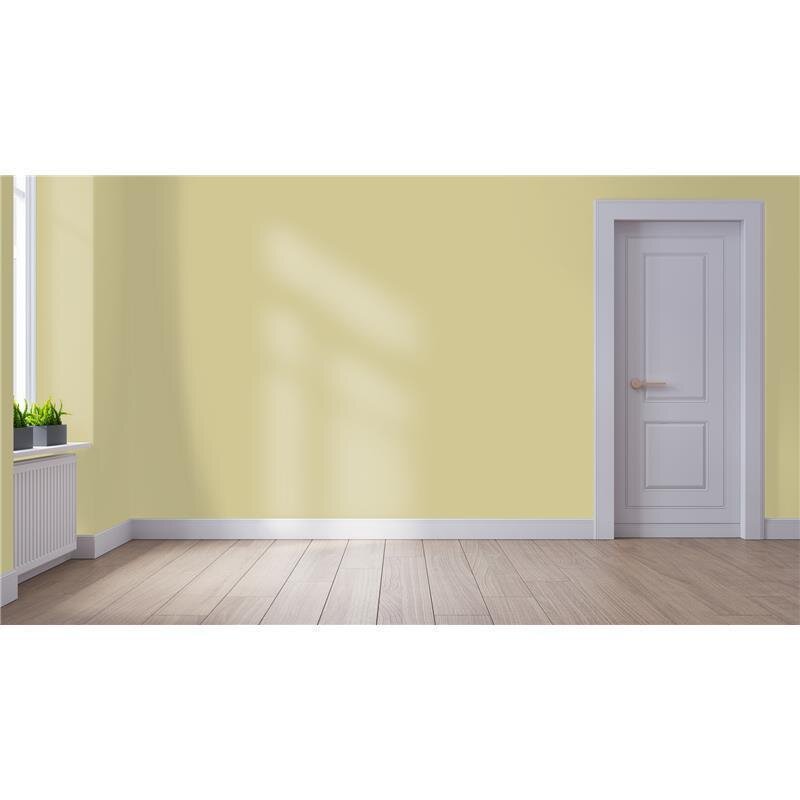 Wandfarbe NCS-S-2020-G90Y Frühlingslaub von Wallcover Colors